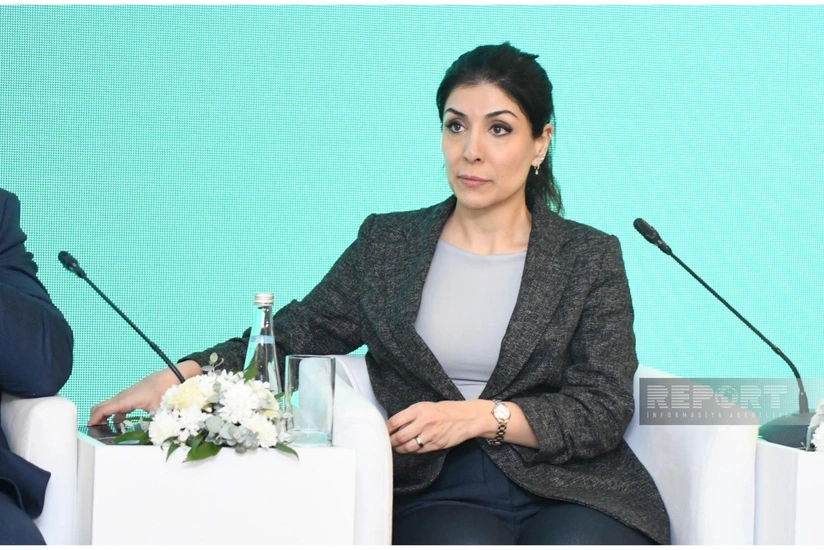 Deputat: Azərbaycanda könüllülük fəaliyyətinə maraq ildən-ilə artır