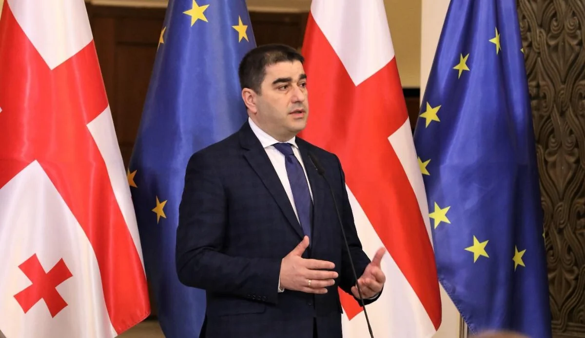 Спикер парламента Грузии: Оппозиция будет агрессивной к выборам 2024 года