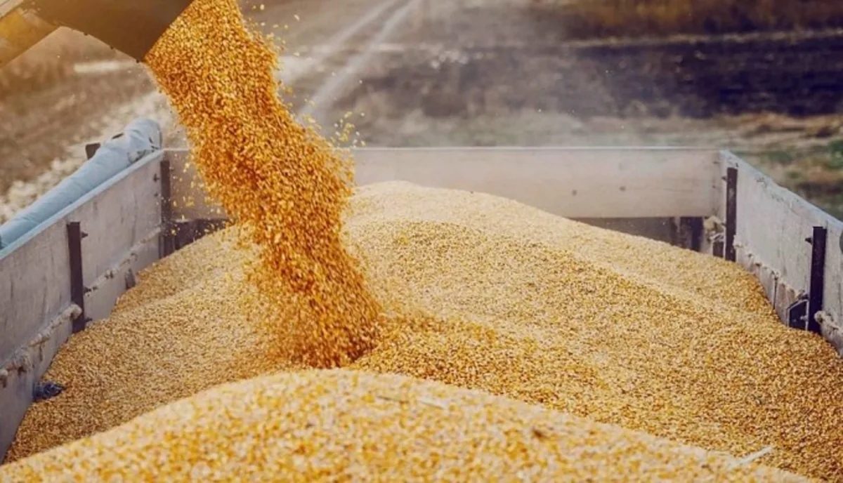 Qazaxıstandan taxıl ixracı bu il 12 milyon tona çatacaq