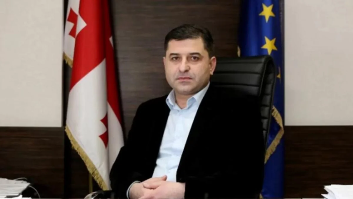 Gürcüstan DTX-nin keçmiş rəis müavini həbs olunub