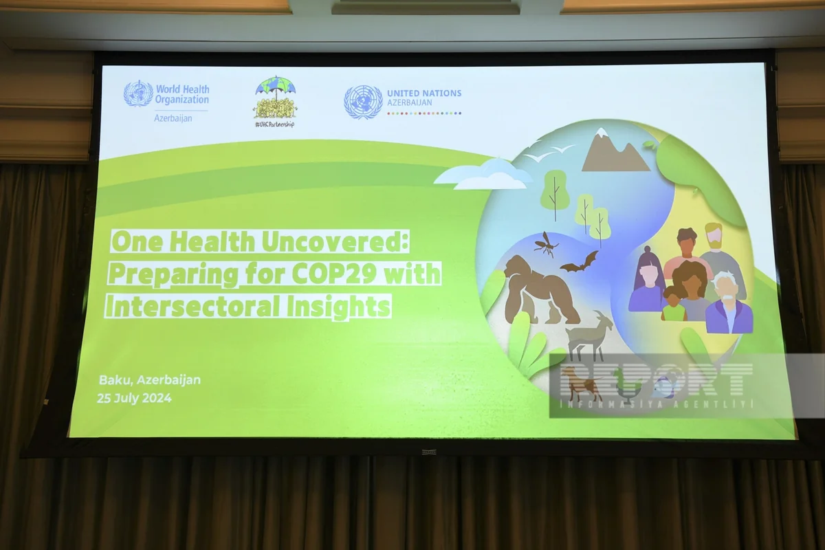 ÜST Azərbaycan və tərəfdaşları COP29-a hazırlıq məqsədilə Vahid Sağlamlıq dialoqu keçirib