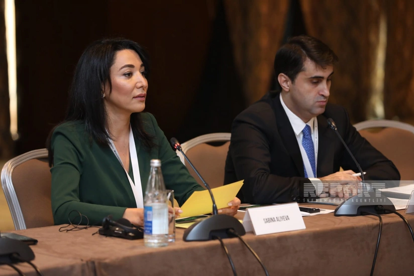 Ombudsman: UN needs serious reforms since it does not meet current challenges