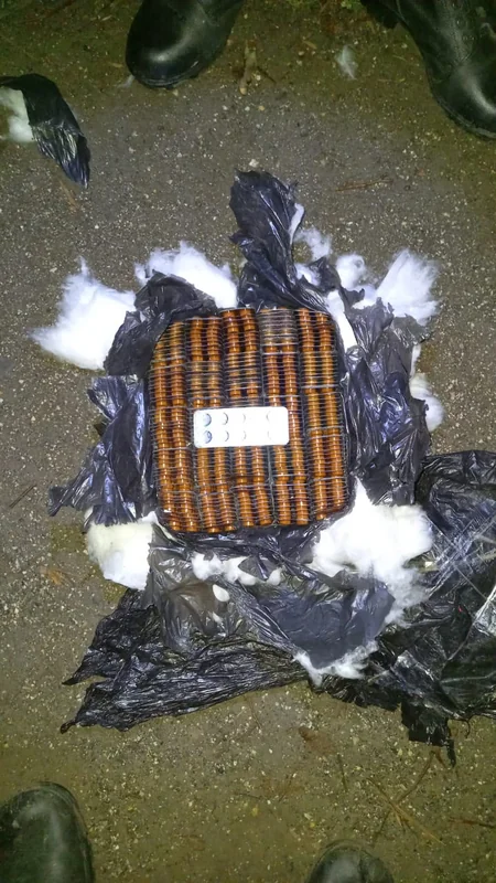 İrandan Azərbaycana narkotik gətirilməsinin qarşısı alınıb