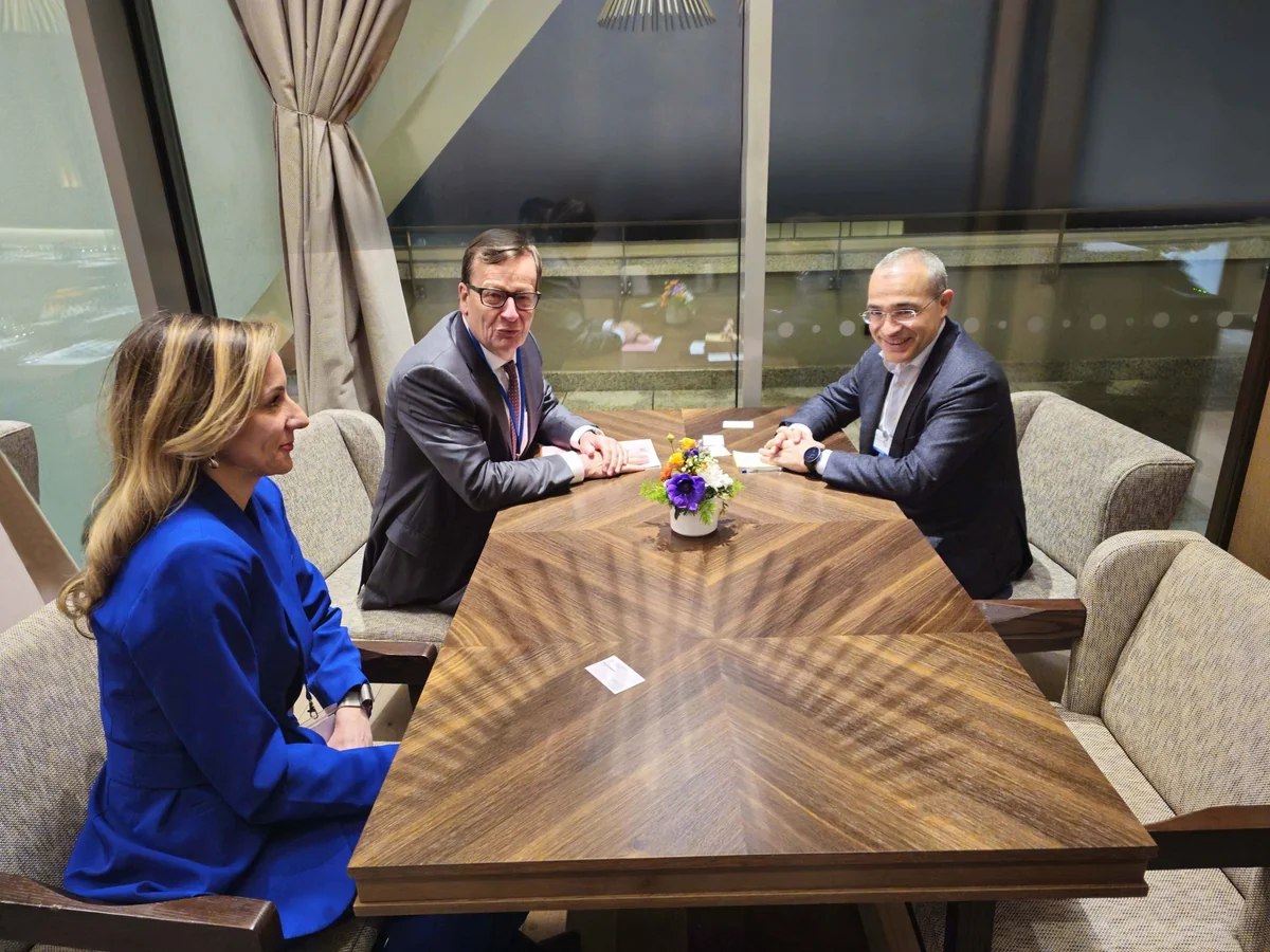 Azerbaijan discusses cooperation with Japanese company