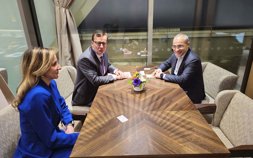 Azerbaijan discusses cooperation with Japanese company