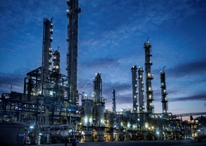 Bu il “Petkim”ə 249 mln lirə investisiya qoyulub