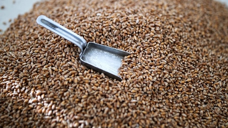 Azerbaijan significantly cuts wheat imports from Russia