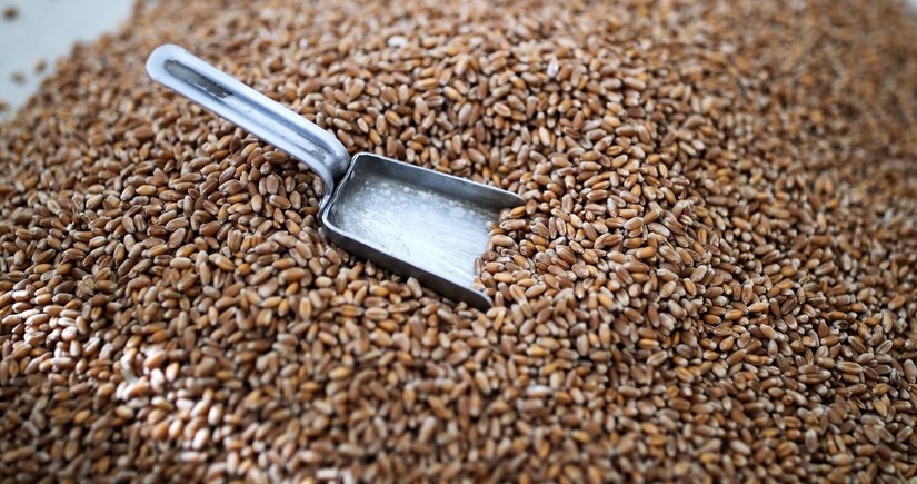 Azerbaijan increases wheat imports by 56%