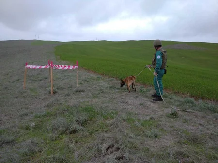 Füzulidə tank əleyhinə raketlər tapılıb