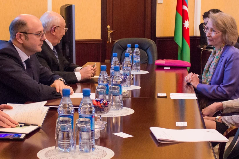 Азербайджан и Великобритания рассматривают сотрудничество в области возобновляемых источников энергии