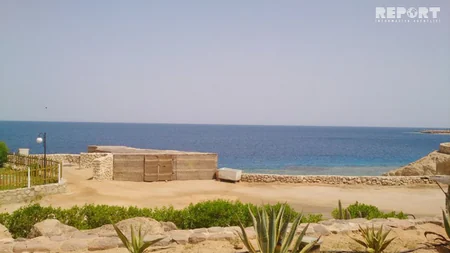 Qırmızı dəniz sahilindəki ecazkar və nadir gülləri ilə məşhur şəhərdən - REPORTAJ