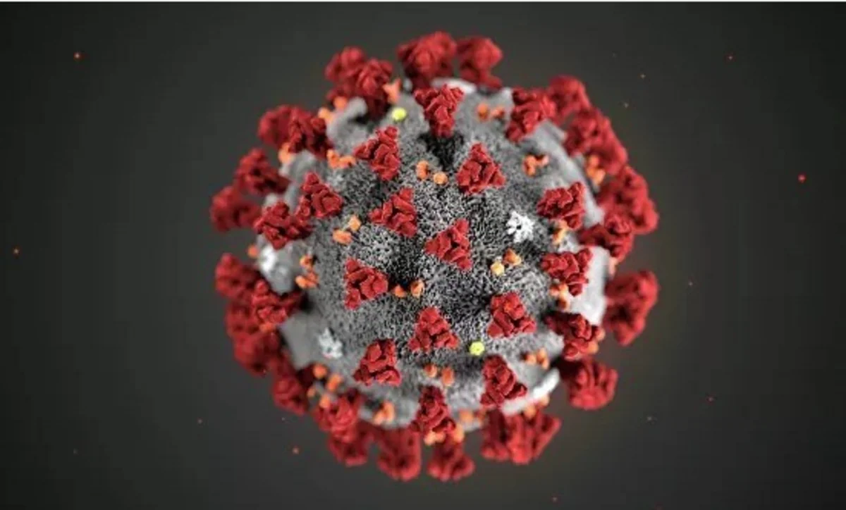 Çindən Fransaya gələn 20 nəfərdə koronavirus əlamətləri aşkarlanıb