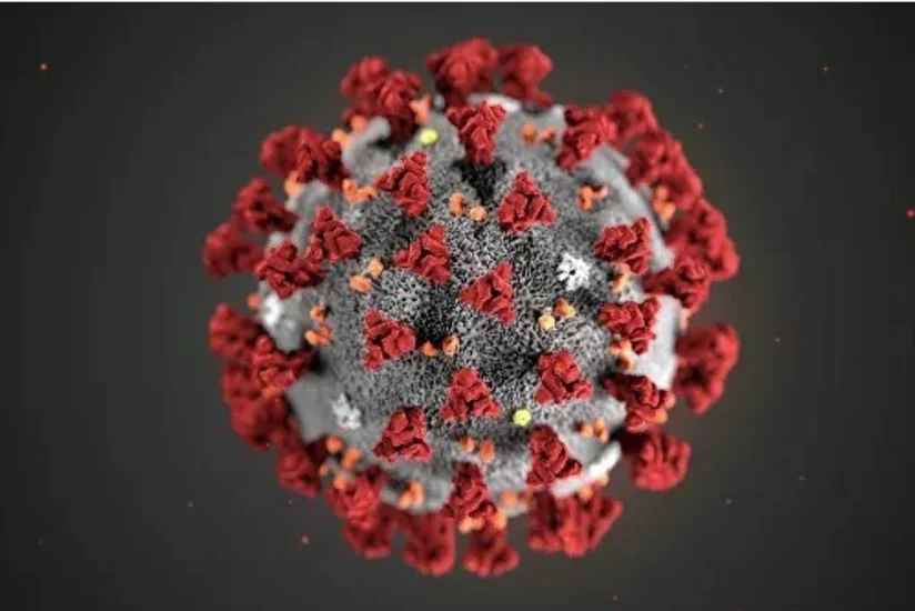 Çindən Fransaya gələn 20 nəfərdə koronavirus əlamətləri aşkarlanıb