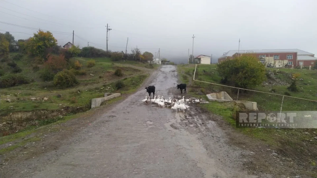Oğuzda uzun illərdir təmir olunmayan yol yararsız vəziyyətə düşüb