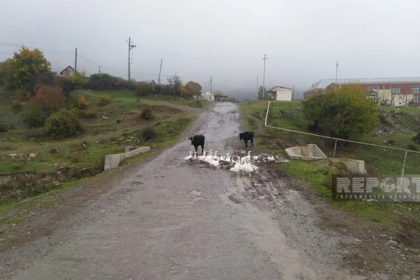 Oğuzda uzun illərdir təmir olunmayan yol yararsız vəziyyətə düşüb