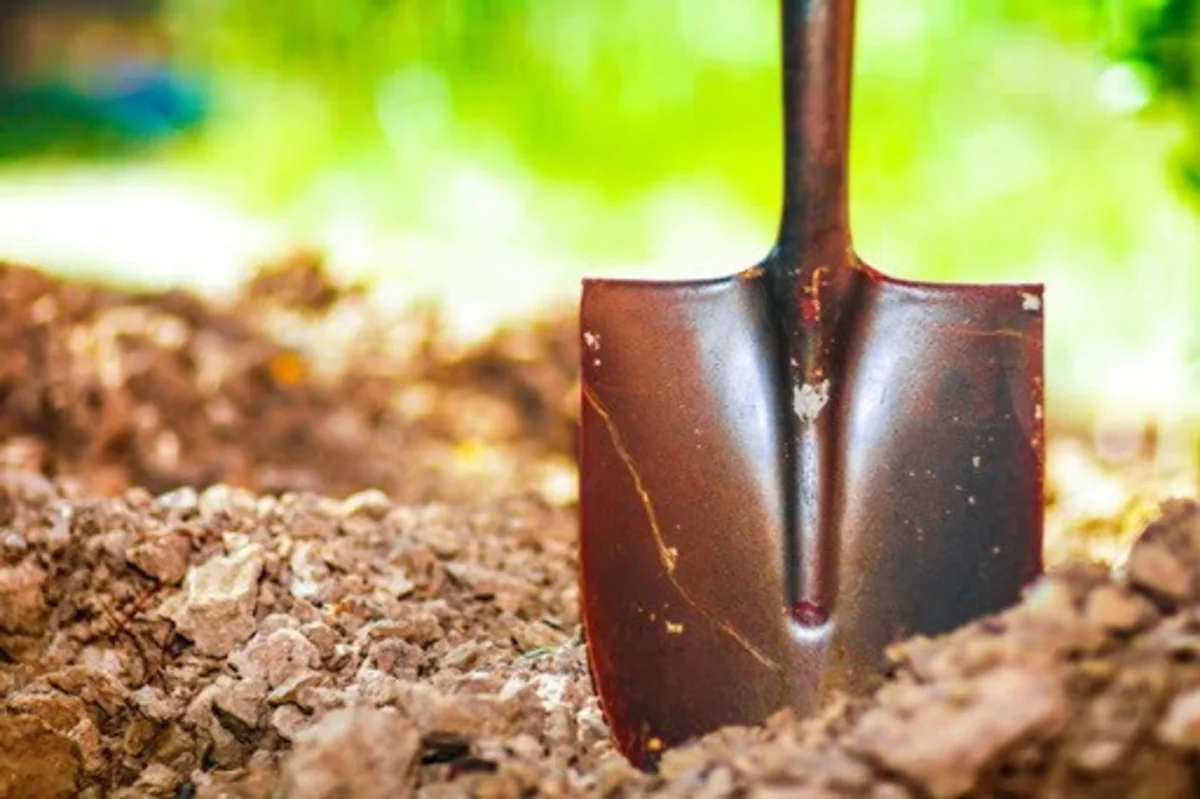 Ucar sakini qonşusunu öldürdü - VİDEO