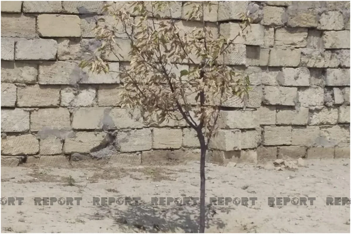 Pirşağı sakinləri susuzluqdan şikayət edirlər - FOTO