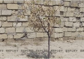 Pirşağı sakinləri susuzluqdan şikayət edirlər - FOTO