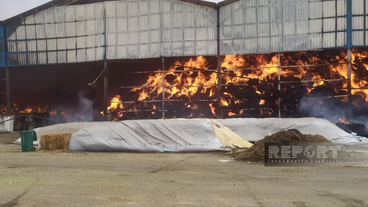 Yalama agricultural park hit by strong fire