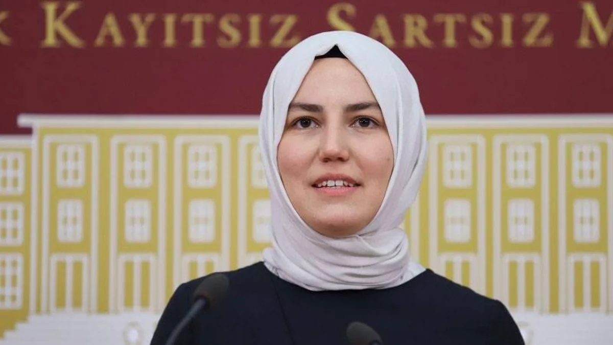 Türkiyə nümayəndə heyətinin üzvü: AŞPA Azərbaycansız natamam bir qurum olacaq