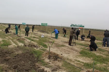 Ekologiya və Təbii Sərvətlər Nazirliyi Yer günü münasibəti ilə iməcilik keçirib