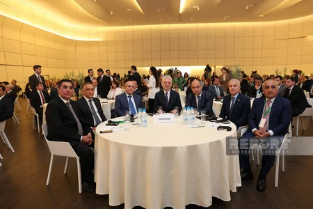 UNEC-in təşkilatçılığı ilə keçirilən beynəlxalq elmi konfransın ilk günü başa çatıb - YENİLƏNİB