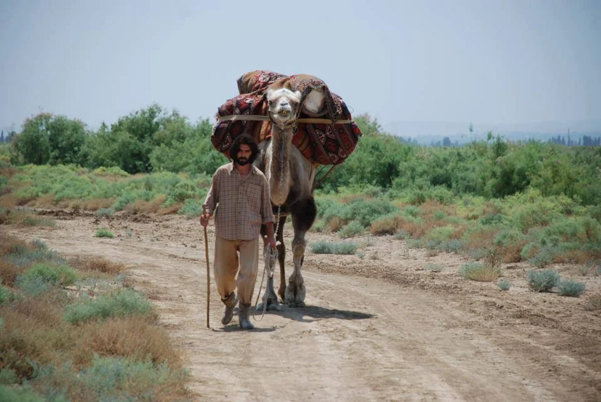 Azerbaijani films to be shown at CayFilm Cayman Festival