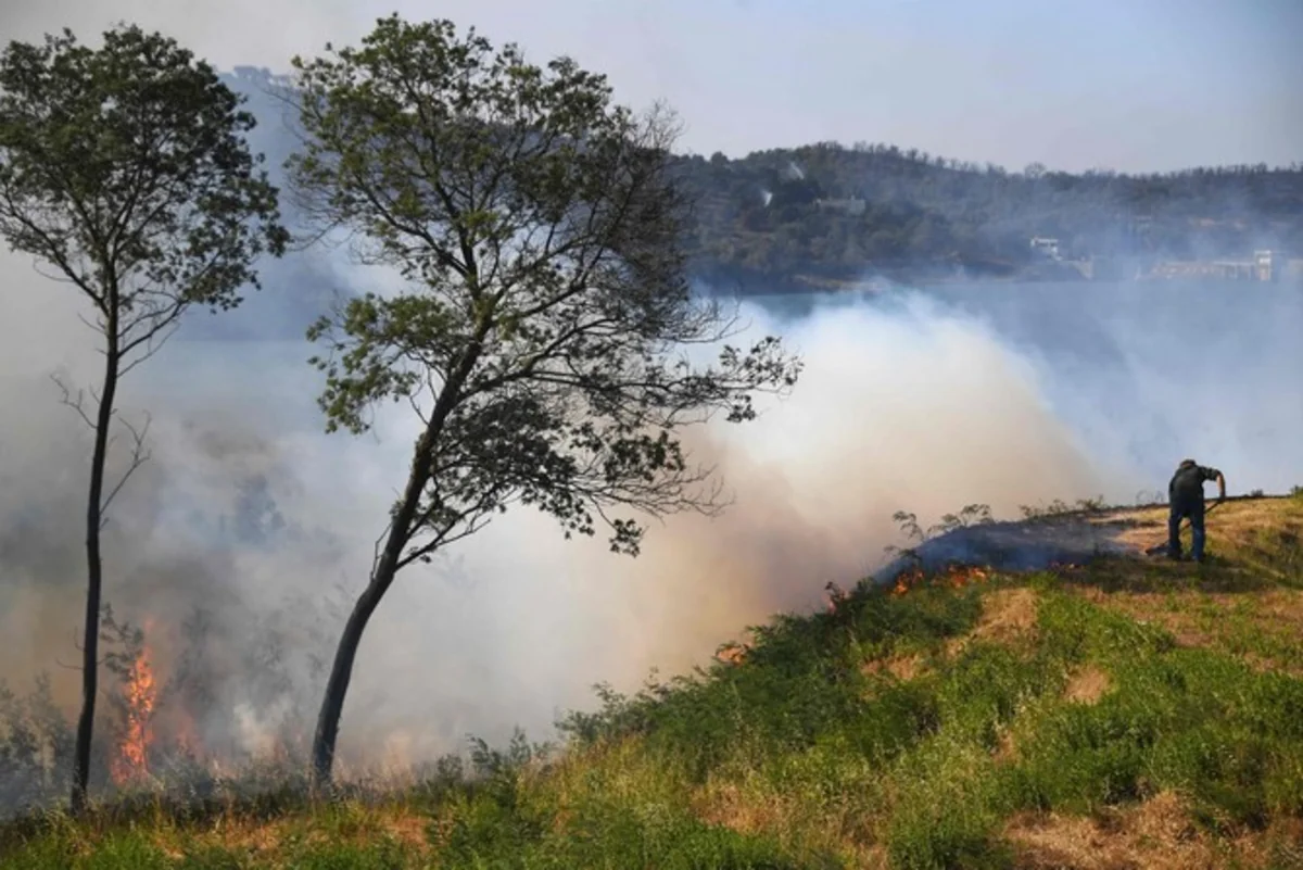 Türkiyədə daha bir meşə yanğını başlayıb