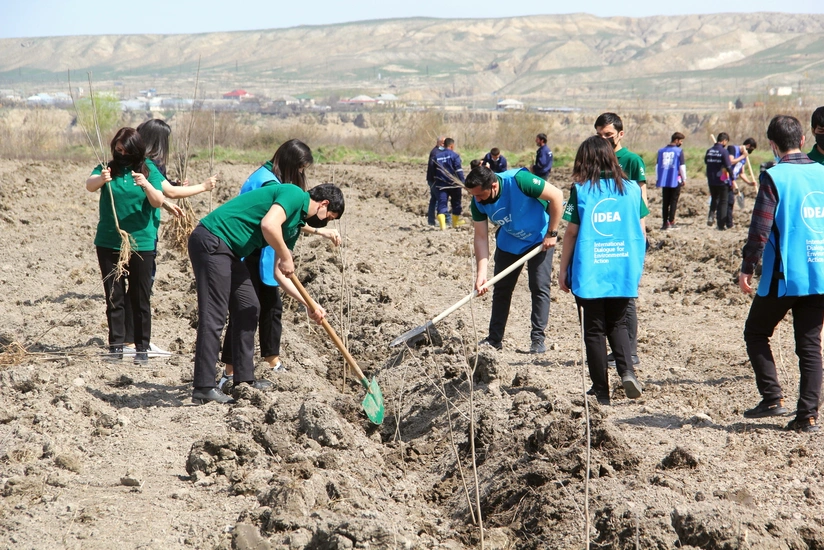 “Yaşıl Marafon” kütləvi ağacəkmə kampaniyasına start verilib