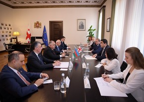 Спикер парламента Грузии обсудил с делегацией ММ развитие межпарламентских связей