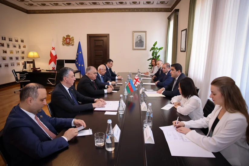 Спикер парламента Грузии обсудил с делегацией ММ развитие межпарламентских связей