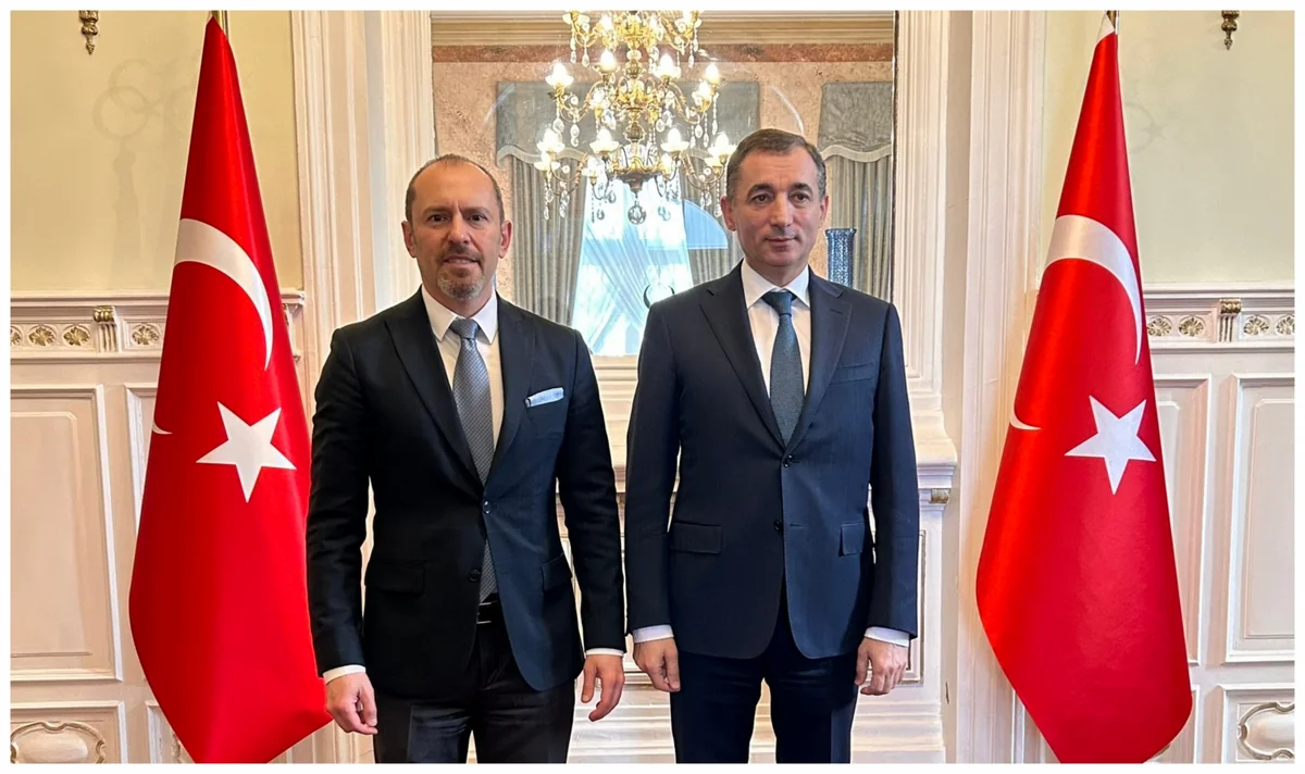 Azerbaijani, Turkish envoys to Romania mull co-op development prospects