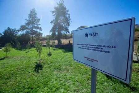 Şəhid övladları Şuşada ağacəkmə aksiyasında iştirak ediblər
