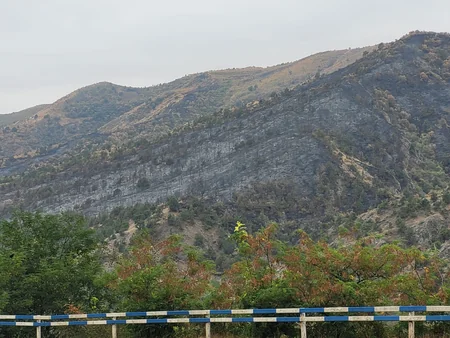 Deputy Minister: Fires committed by Armenians cause serious damage to regional ecosystem