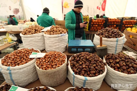 Eldar Əzizov Novruz yarmarkasında olub - FOTO