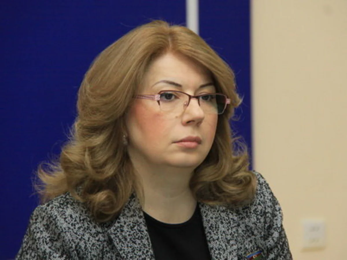 Deputat: Metronun yanında bir kişi çıxmayıb ki, ona bir yumruq vurub qadını əlindən alsın