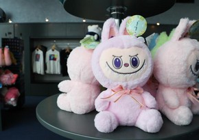 Craze for Labubu toys boosts careers of so-called toy doctors in China