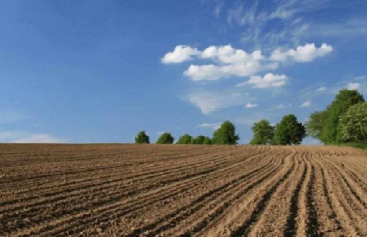 Azərbaycanda pay torpaqları ilə bağlı mühüm qərar