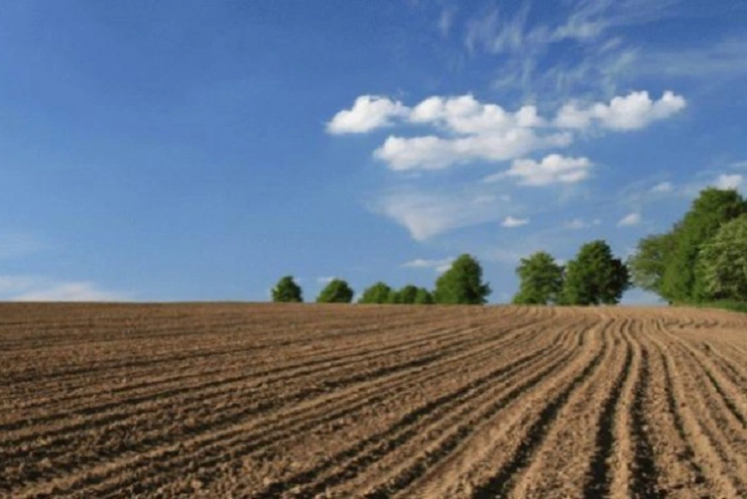 Azərbaycanda pay torpaqları ilə bağlı mühüm qərar