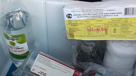 Qaxda heyvanlar arasında profilaktik tədbirlər aparılır