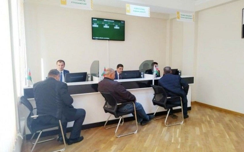 Azərbaycanda 26 mindən çox fermer əkdiyi məhsul barədə dövləti məlumatlandırıb