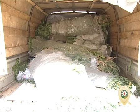 Bakıda narkotik tərkibli bitkilərin kultivasiyası ilə məşğul olan şəxs saxlanılıb