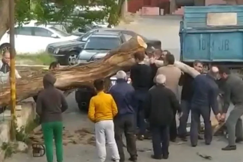 Bakıda külək ağacı avtomobilin üzərinə aşırdı