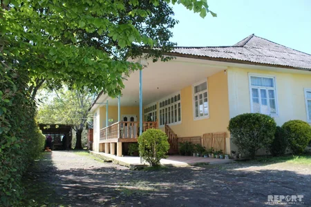 Çörəyi bambukdan çıxır - VİDEOREPORTAJ