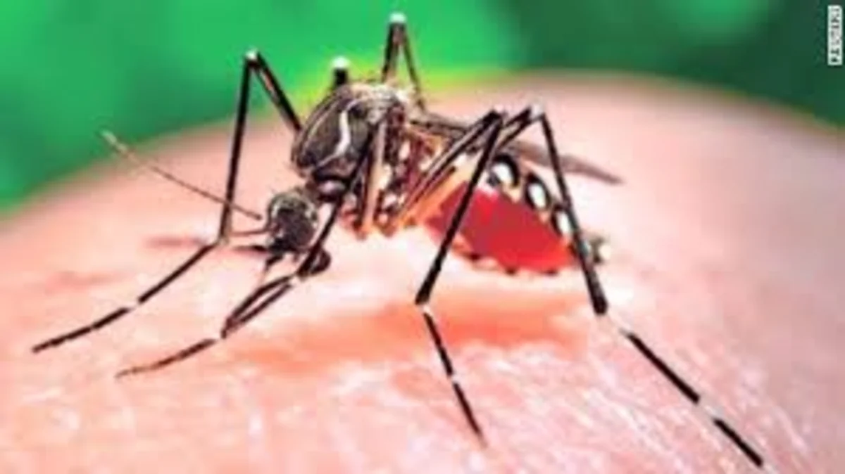 ABŞ-da “Zika” virusuna yoluxma hallarının qeydə alındığı ştatlarda donor qanı yığılmayacaq