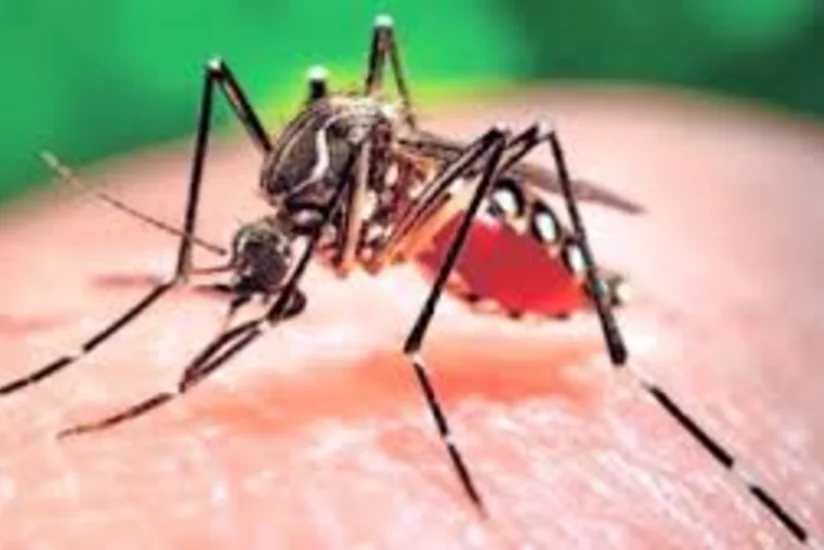 ABŞ-da “Zika” virusuna yoluxma hallarının qeydə alındığı ştatlarda donor qanı yığılmayacaq