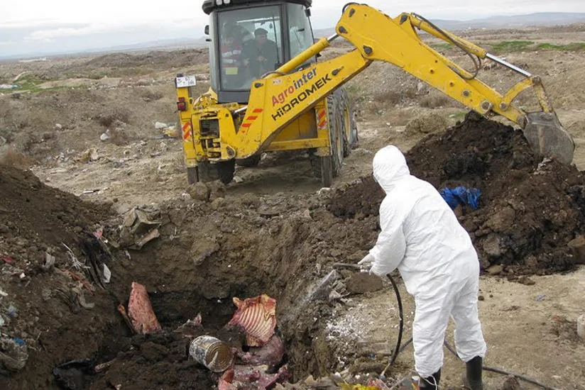 Bakıda mənşəyi məlum olmayan 5 ton mal əti basdırılıb - FOTO