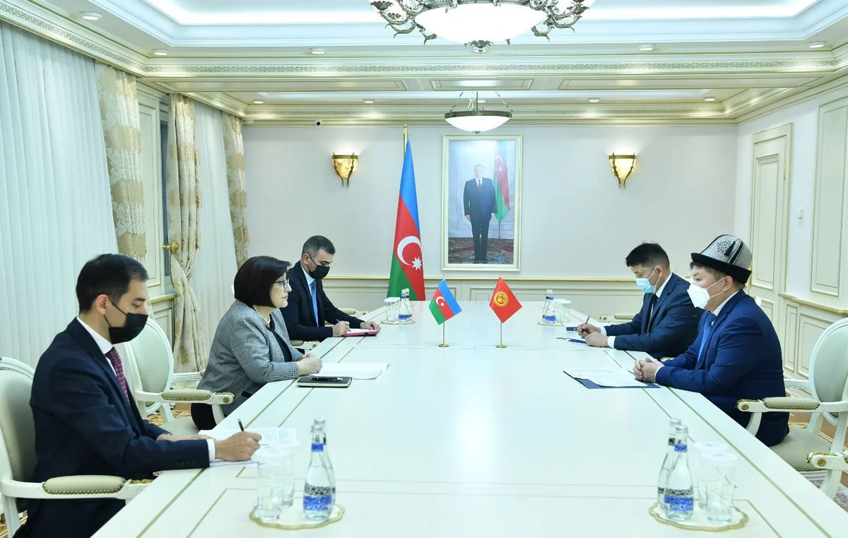 Milli Məclisin sədri Qırğızıstan səfiri ilə görüşüb