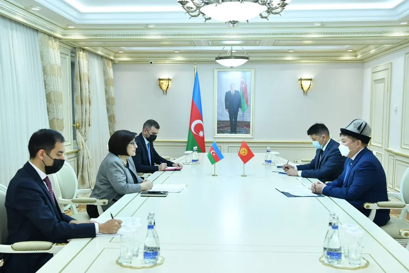 Председатель Милли Меджлиса встретилась с послом Кыргызстана