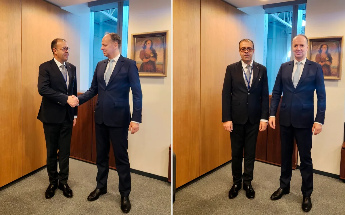 Azerbaijan, Slovenian NATO reps mull Baku's contribution to energy security